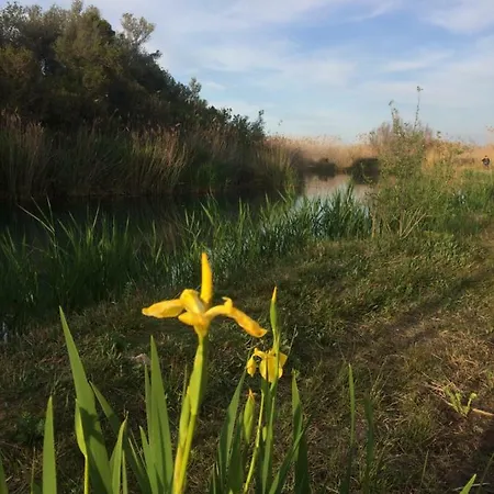 Casa En Playa Y Met Lägenhet Oliva